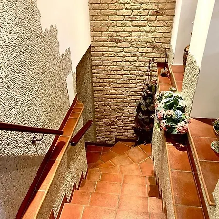 Wood Luxury House Apartament *